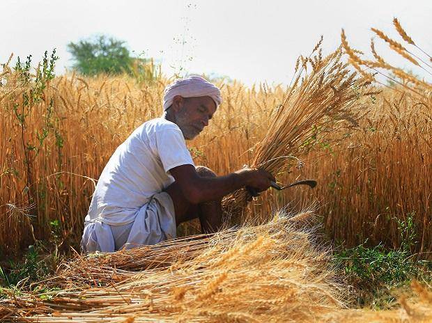 Farmer Working in the Field