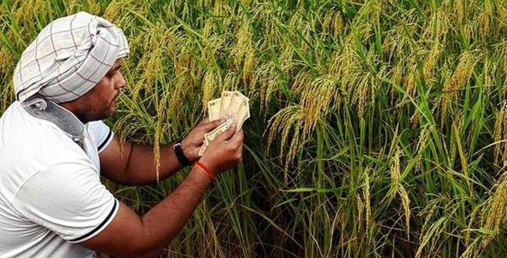 Indian-farmer