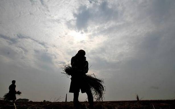 farmer working in field in rainy weather