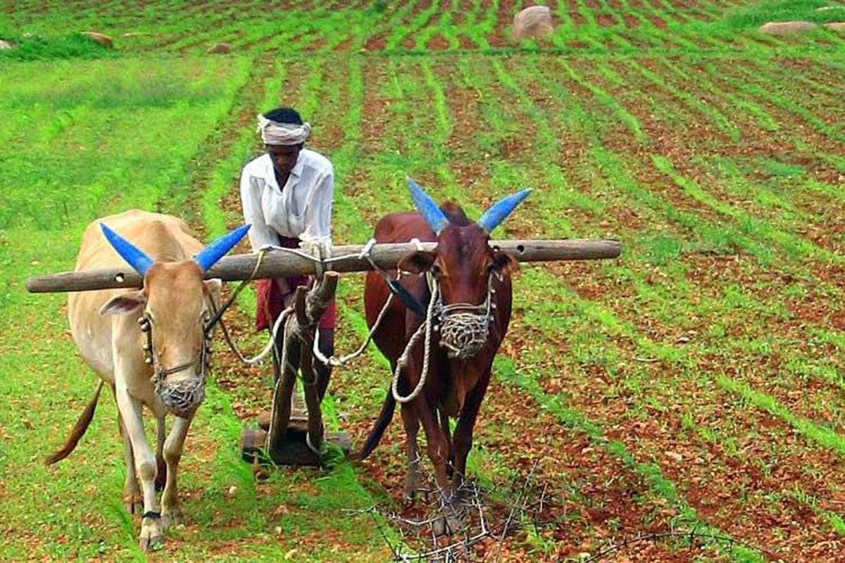 Farmer tilling the land