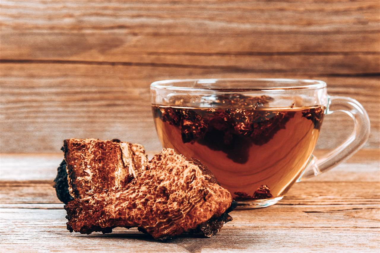 Chaga Mushroom Tea