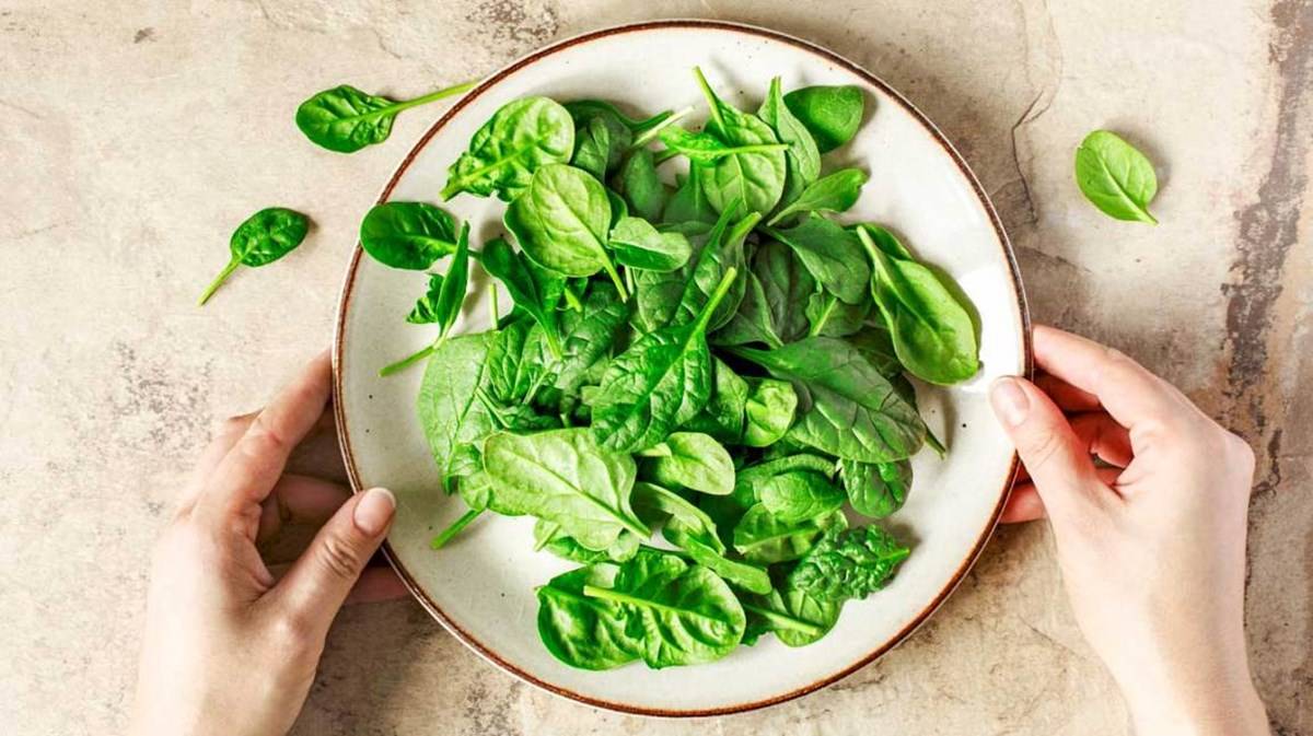 Spinach in a Bowl