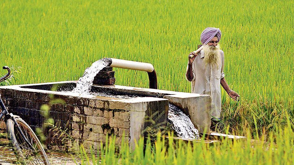 Farmer Irrigating His Field