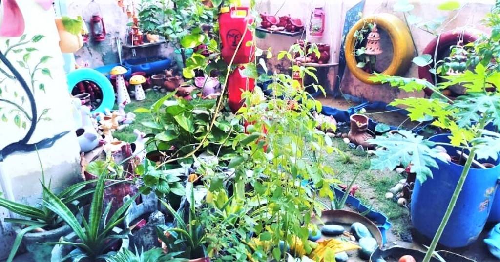 Vijay Sharma's Home Garden