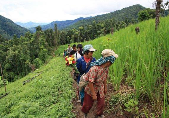 Farmers in Mizoram will get Advantage of SEDP Scheme Next Year