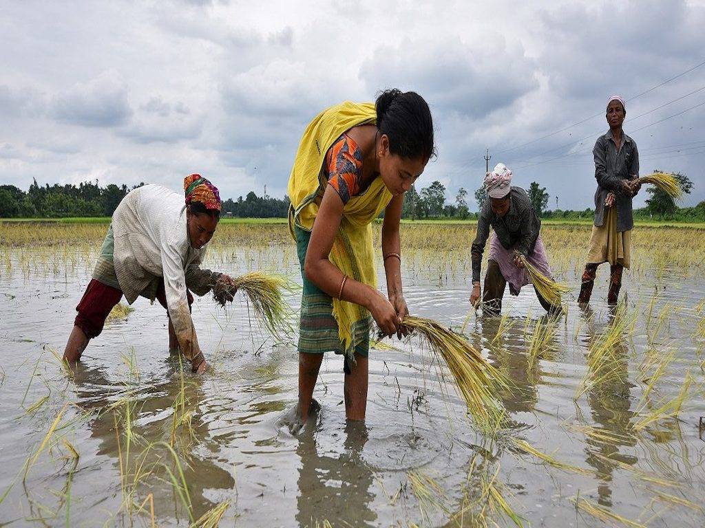 Agri Workers