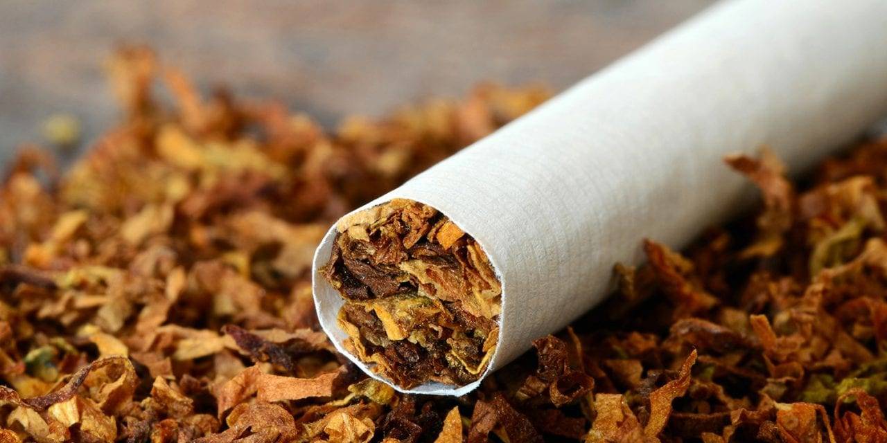 Tobacco Inside A Cigarette
