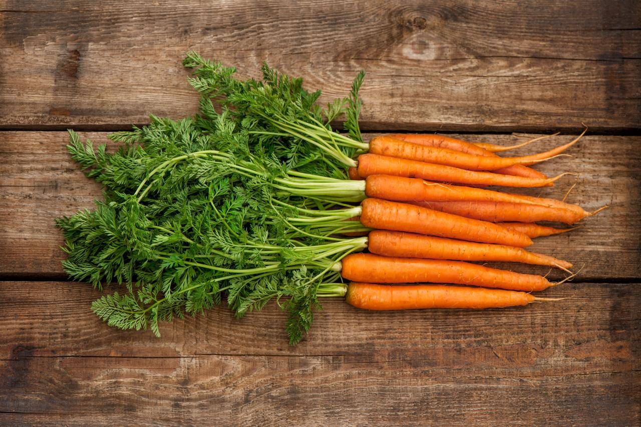 Harvested Carrots