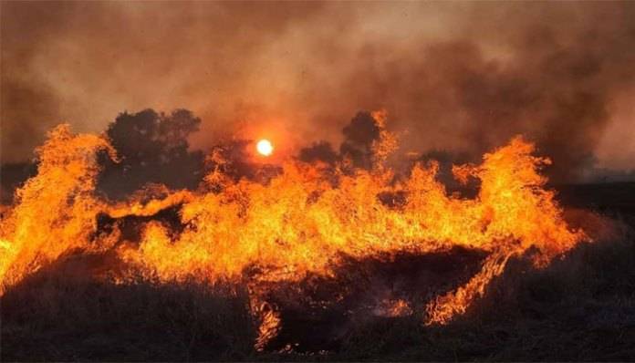 Stubble Burning on Diwali night