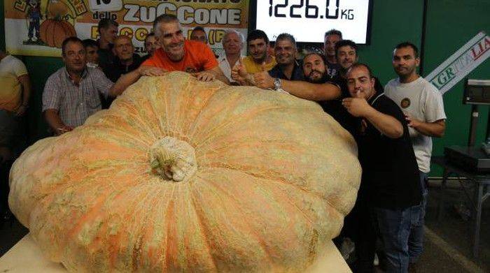 Stefano Cutrupi - with his Monster Pumpkin