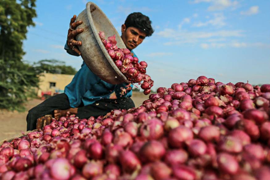 Onion Vendor