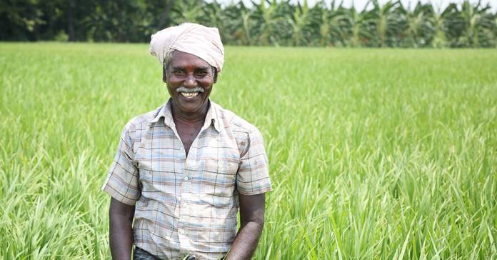 A farmer in the field