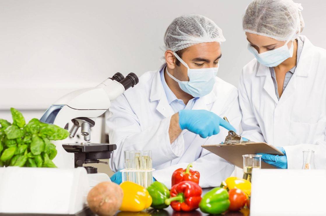 Food under inspection in Lab