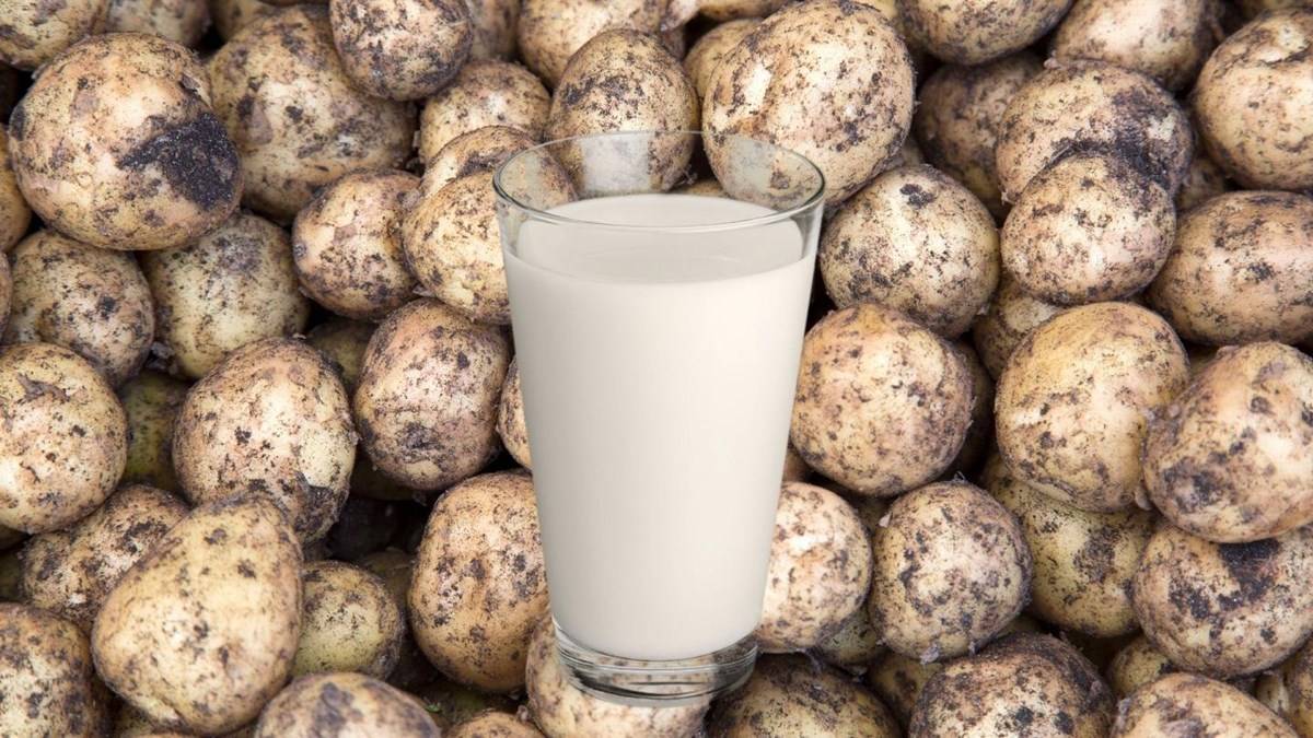 Potato Milk - it has calcium equivalent to cow milk