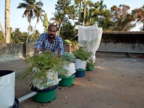 Kerala Man Develops Cheap Irrigation System