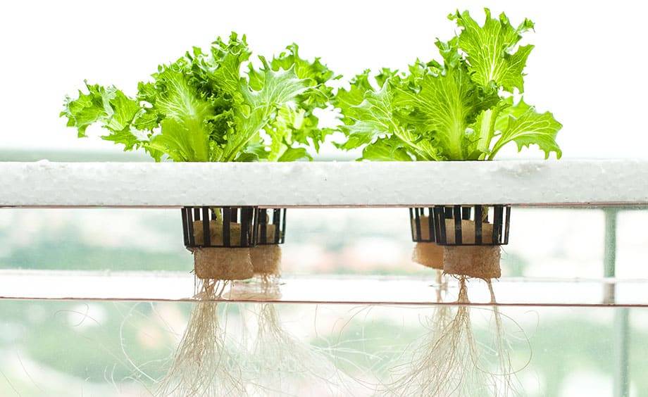 Hydroponics system