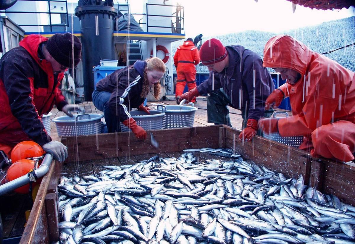 International World Fisheries day 2021