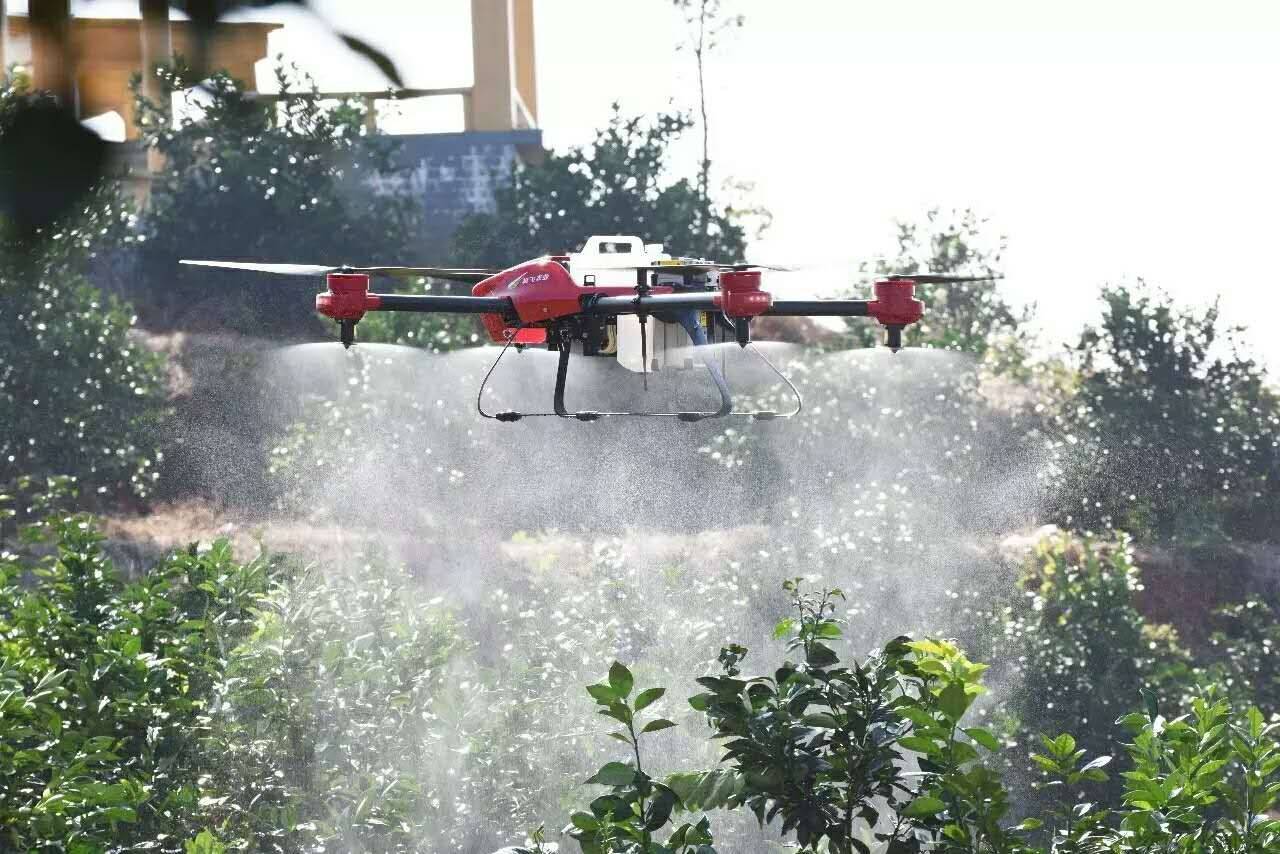 Drone Spraying Insecticides On Plants