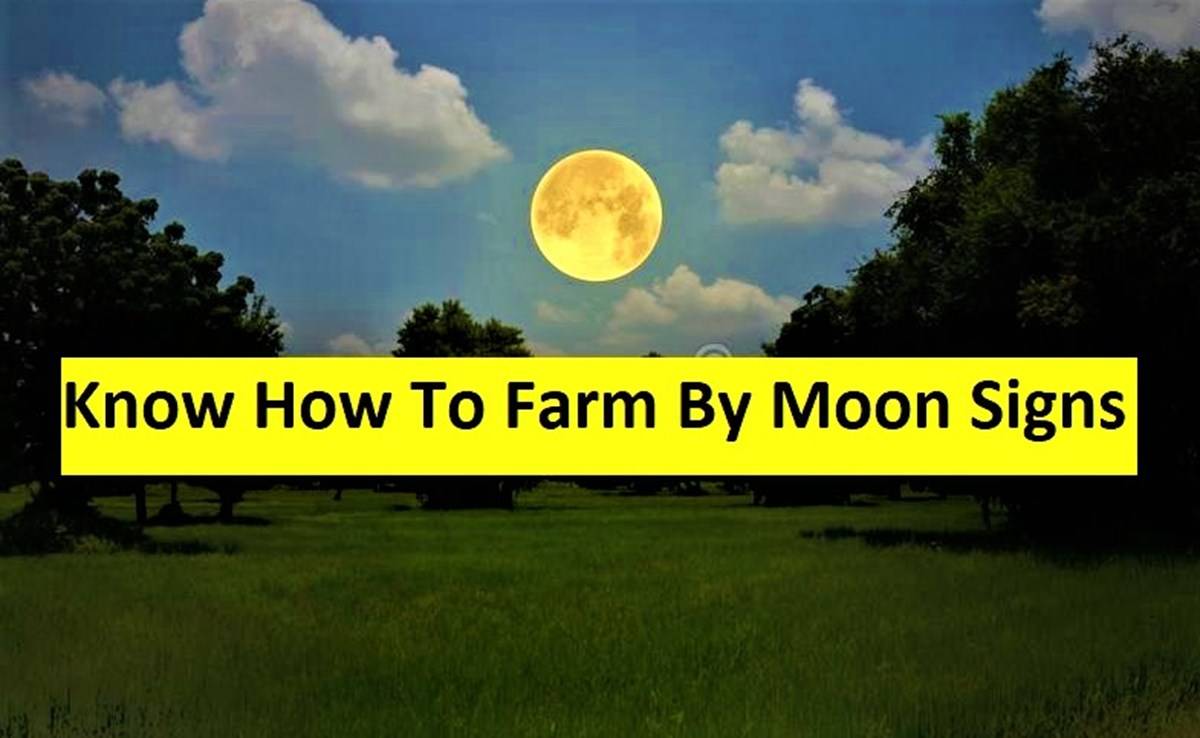 Farm By the Moon & the Signs