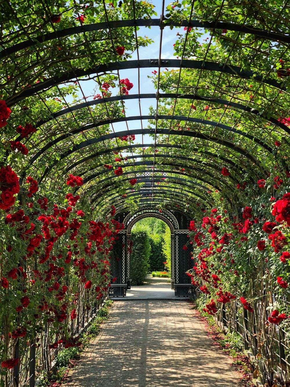 A Well Tended Garden