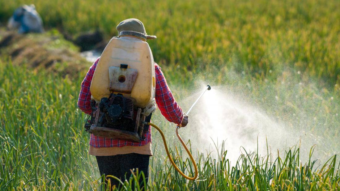 Pesticide Sprayed In A Field