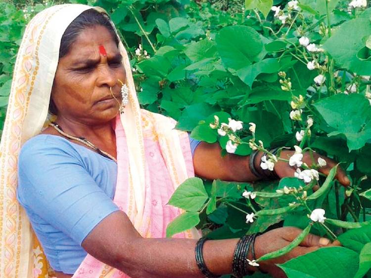 Padma Shri Awardee Rahibai Popere