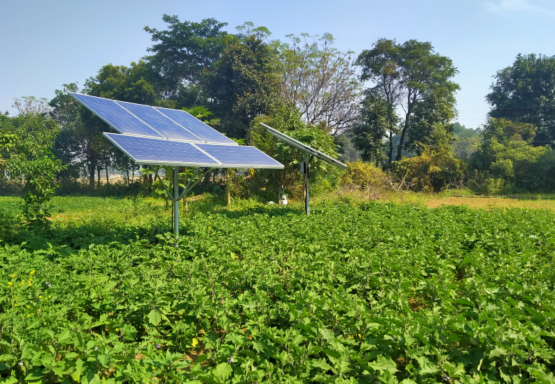 Solar Panels In A Farm