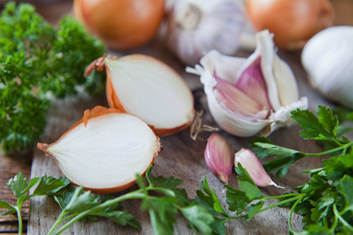 Onion and garlic with green coriander