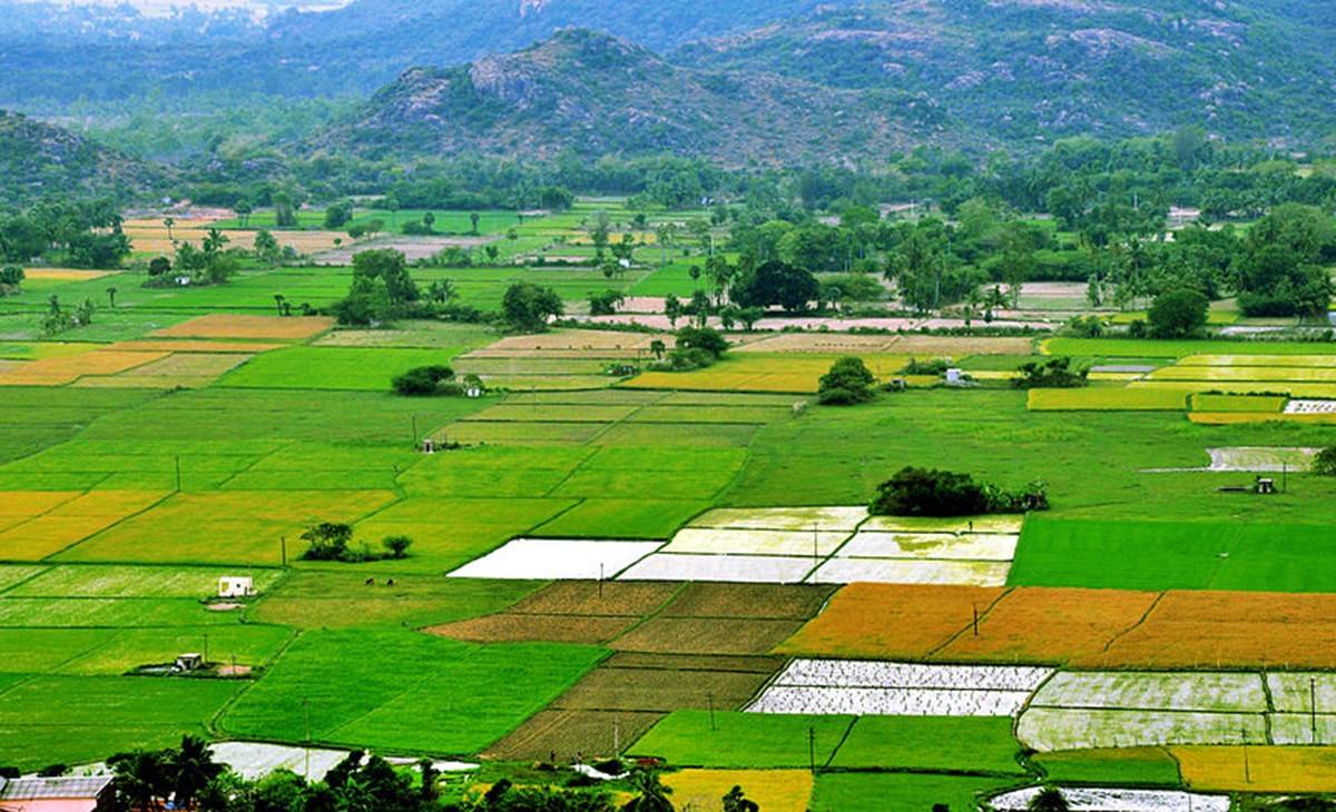 Things to avoid while buying agricultural land in India
