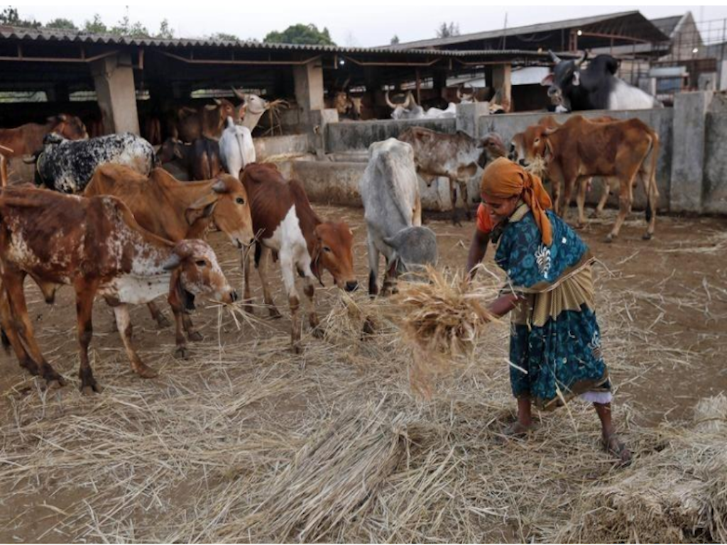 Livestock Farmer