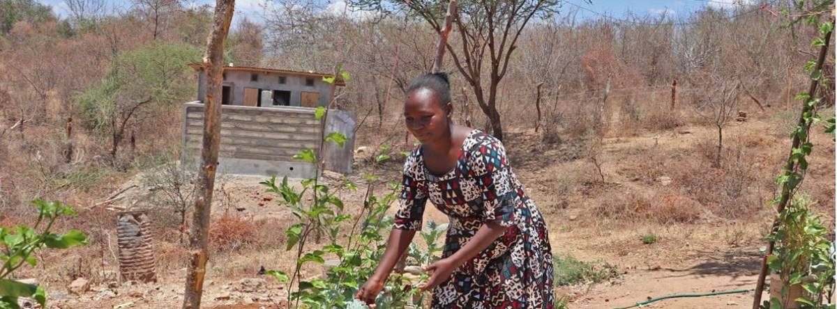 Peninah Muthoni Grows Vegetables In Her Arid Village Of Karangadu