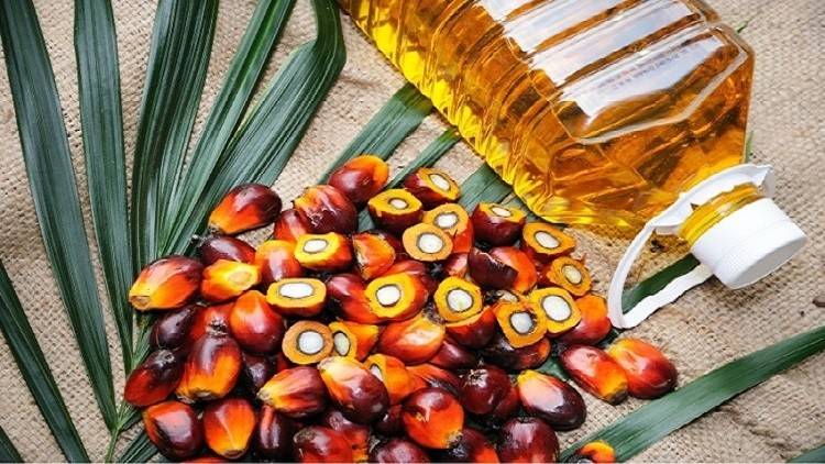 Malaysian Palm oil