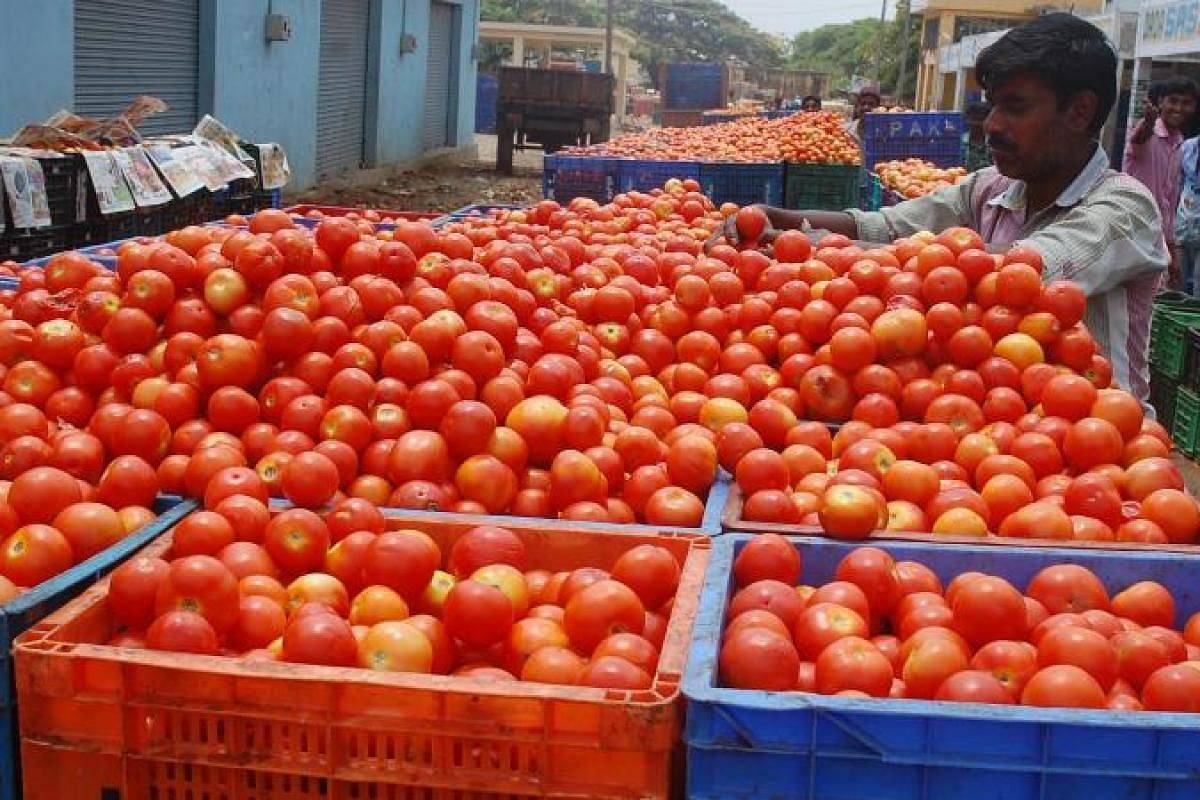 Tomatoes In A Market