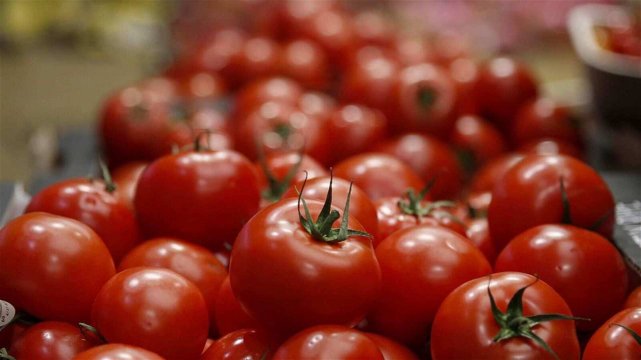 Tomato prices skyrocketing in many states