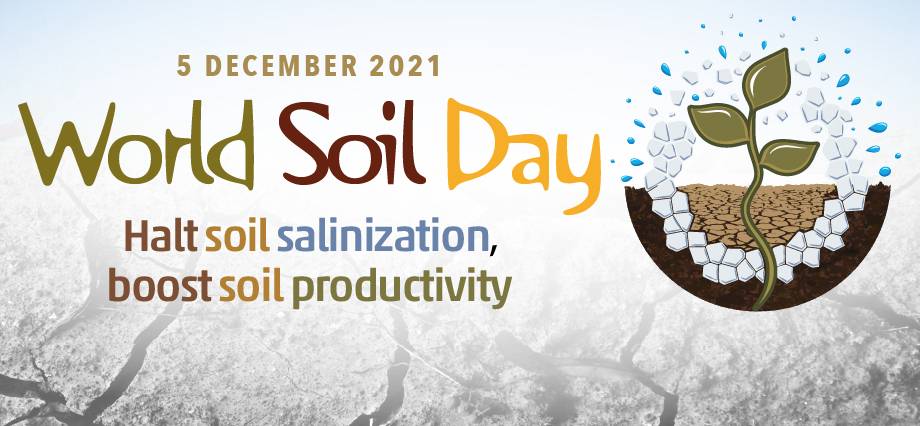 Celebrated On December 5th Every Year World Soil Day  Is Based On Preserving the Very Land We Live On