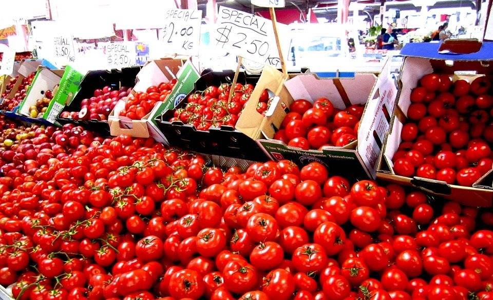 Tomato Prices to Continue to Rise for Next 45-50 Days