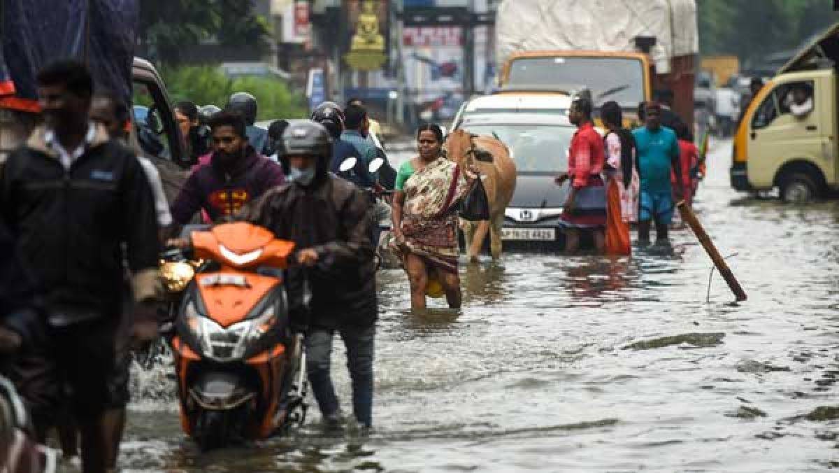 IMD Predicts Heavy Rainfall In Many States