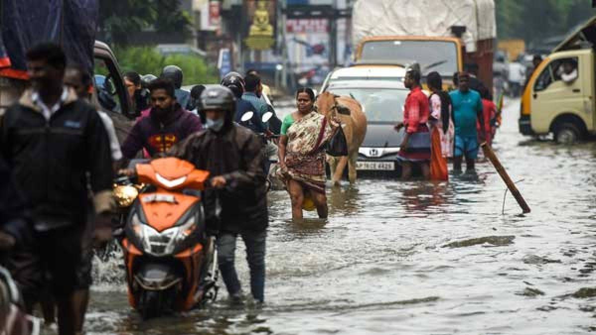 Imd Predicts Heavy Rainfall In These States In The Next 48 Hours Red