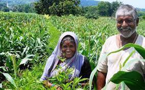 Happy farmer