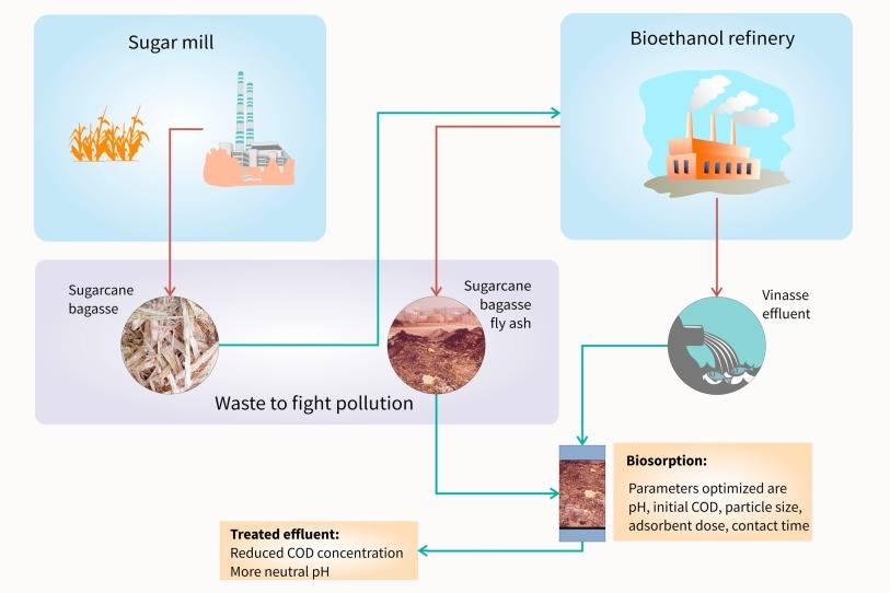 HAU scientists are going to develop fertilizer from sugarcane distillery fly ash