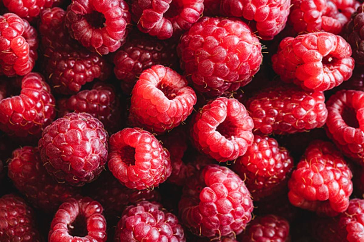 Raspberries - grow at home guide
