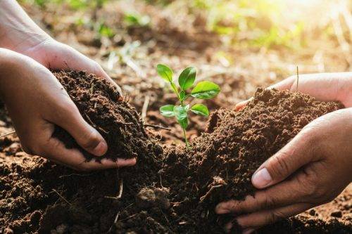 World Soil Day 2021