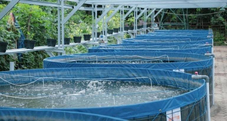 BioFloc Fish Farming Plant