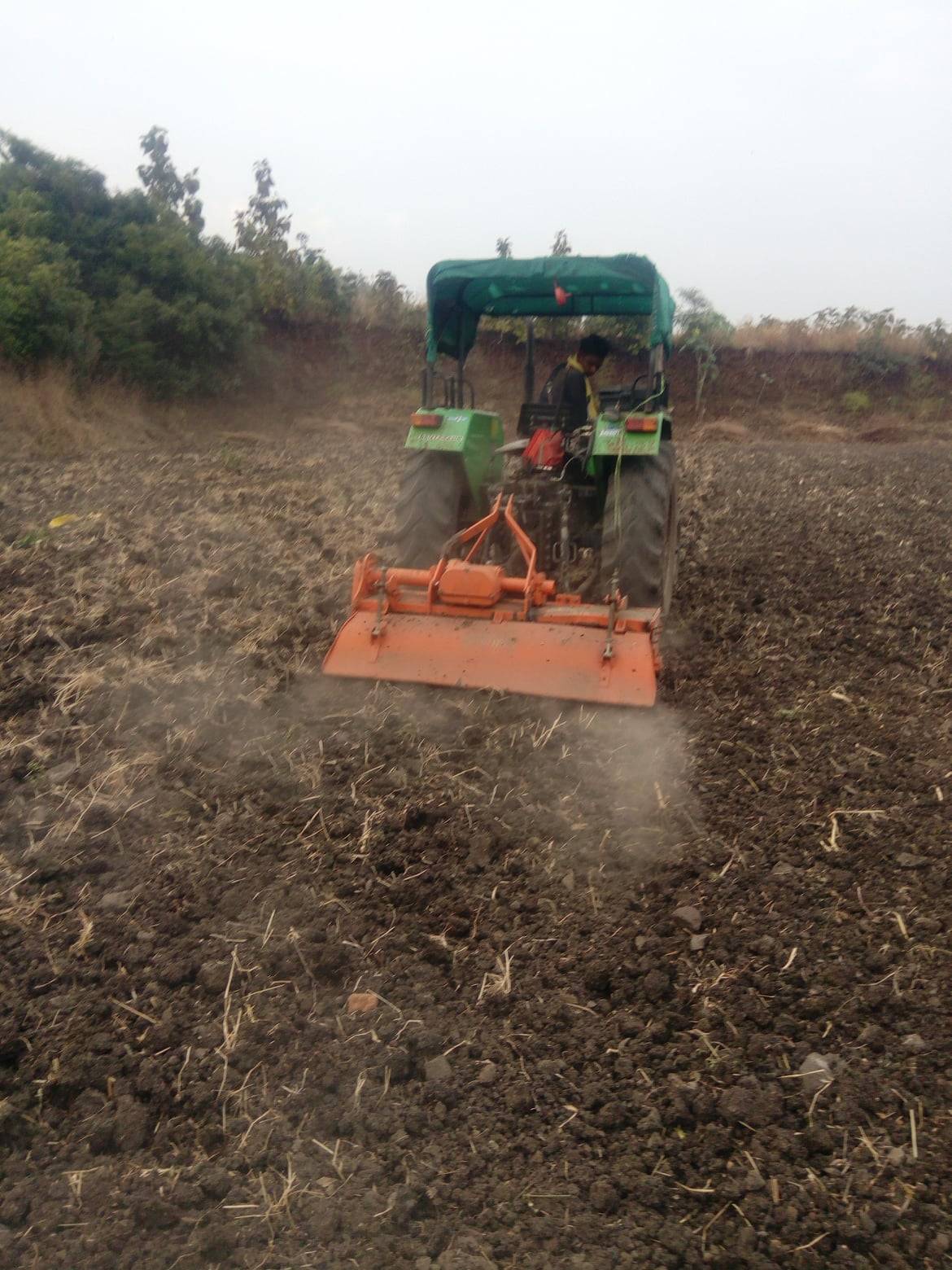 Farmer working in his field