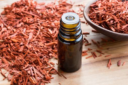 Sandalwood and its oil