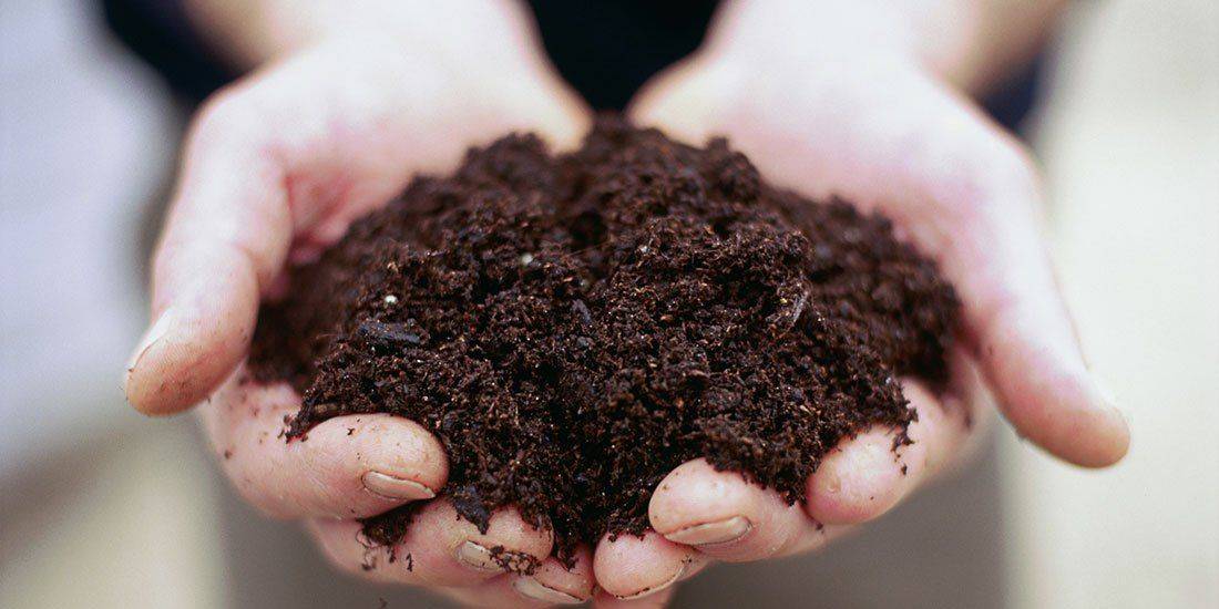 Soil A Precious Resource