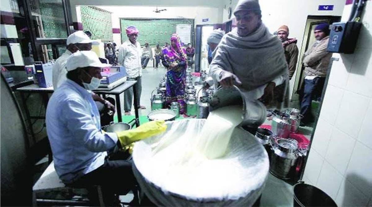 Workers working in Milk Factory