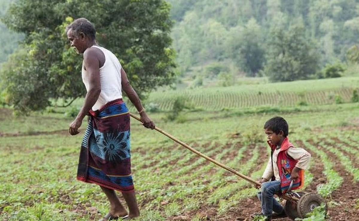 Farmer Playing With His Child