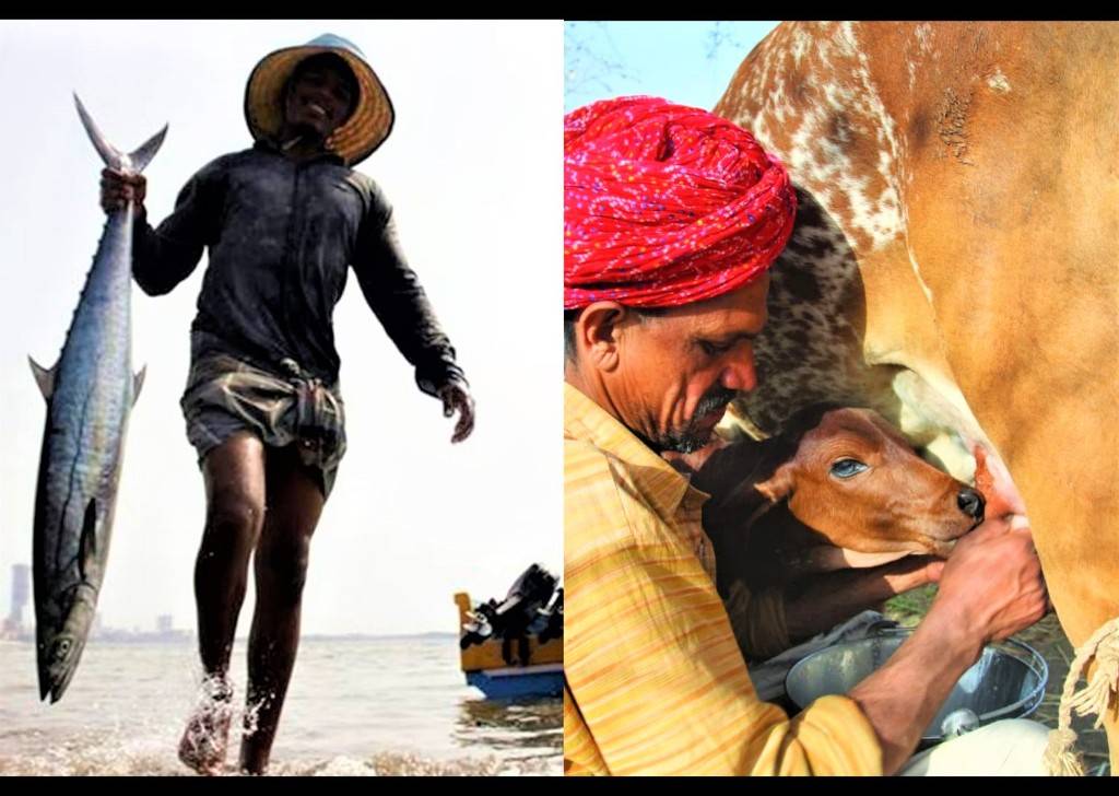 Fishermen & Livestock Farmer