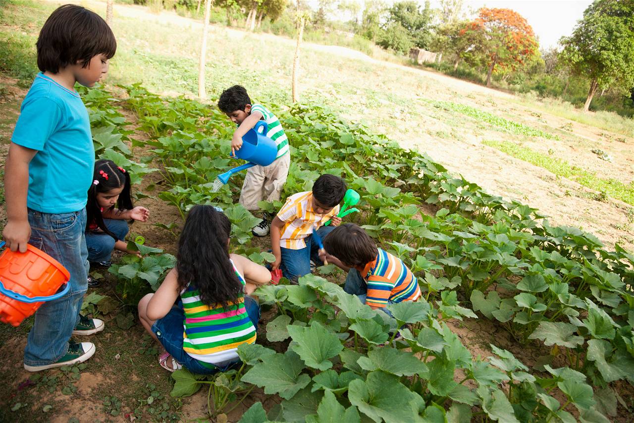 School Garden Project